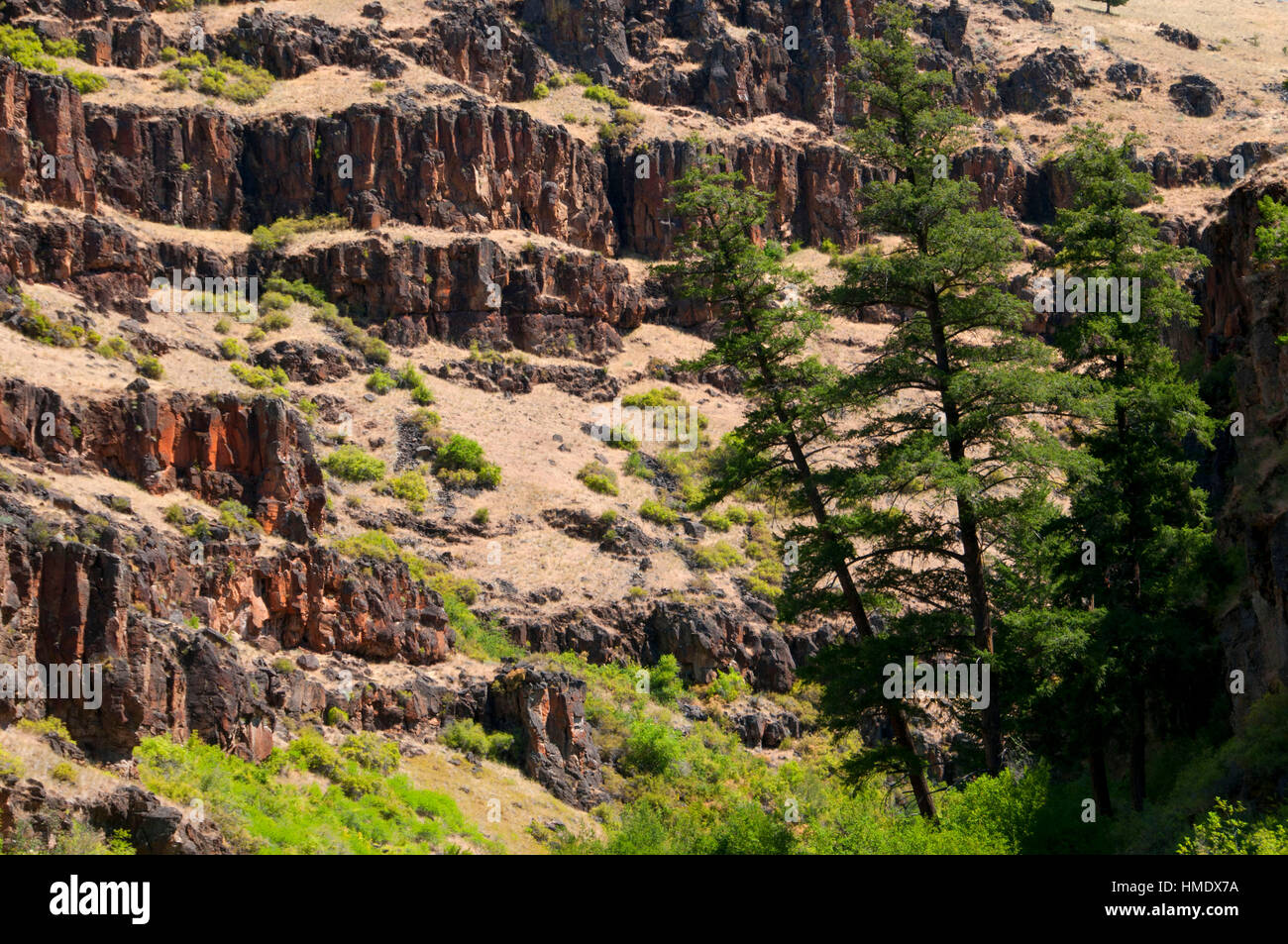 Rocce basaltiche, sud Forcella John giorno Wild e Scenic River, a sud Forcella John giorno River Paese indietro Byway, Oregon Foto Stock