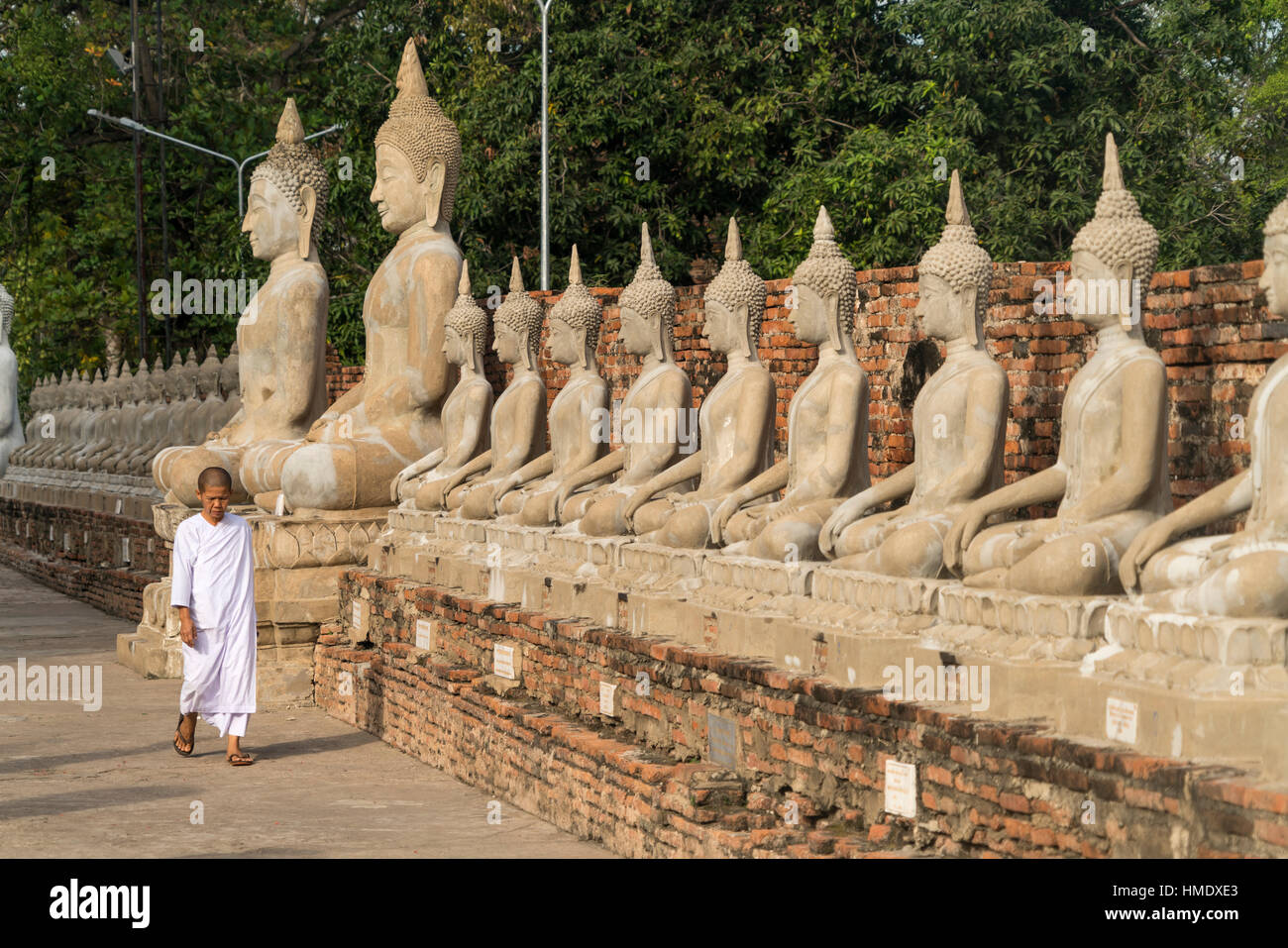 Fila di immagini del Buddha di Wat Yai Chai Mongkhon, al parco storico di Ayutthaya, Thailandia, Asia Foto Stock