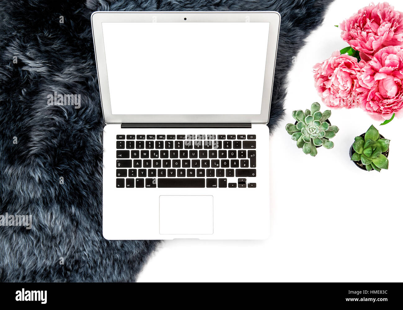 Laptop sul posto di lavoro, succulenti fiori sullo sfondo di pelliccia. Piatto per laici social media Foto Stock