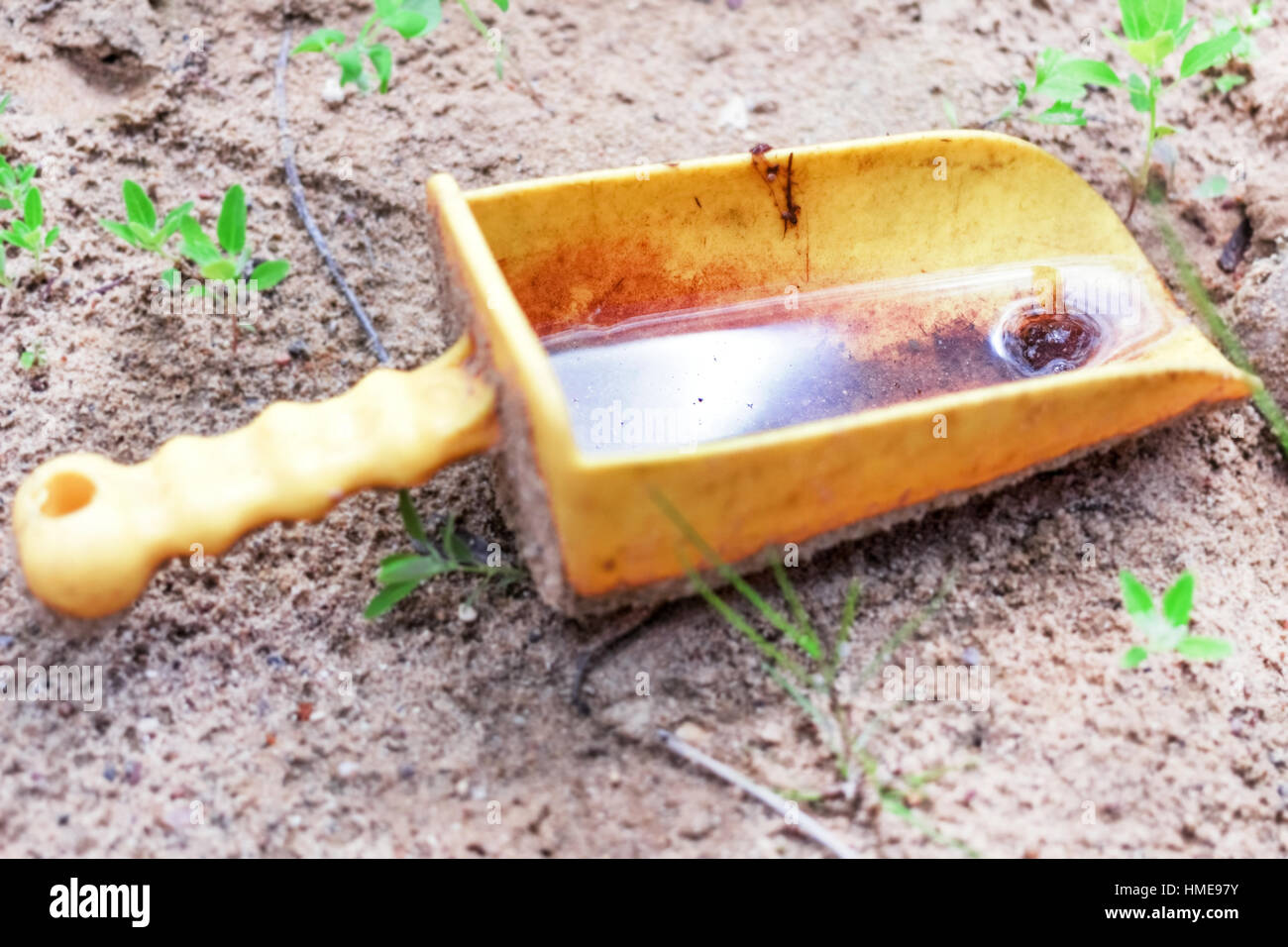 Dimenticate i bambini giallo di scoop con acqua in sandbox Foto Stock