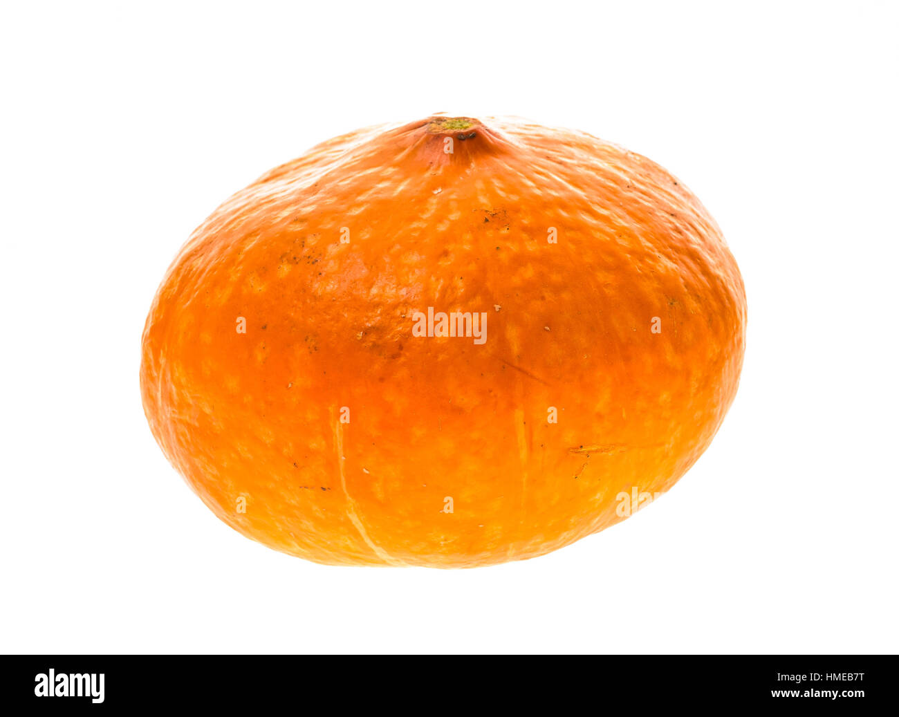 Red kuri squash - arancione zucca Hokkaido isolato su bianco. Uchiki Kuri Squash, Giapponese Squash o Baby Red Hubbard Squash fotografato in configurazione tabletop s Foto Stock