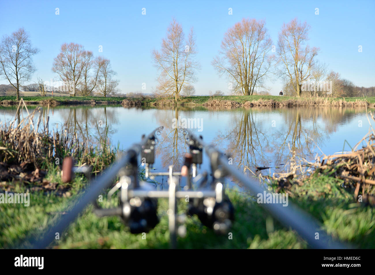 La pesca alla carpa (aste) presso un lago per la pesca sportiva con una bella riflessione Foto Stock