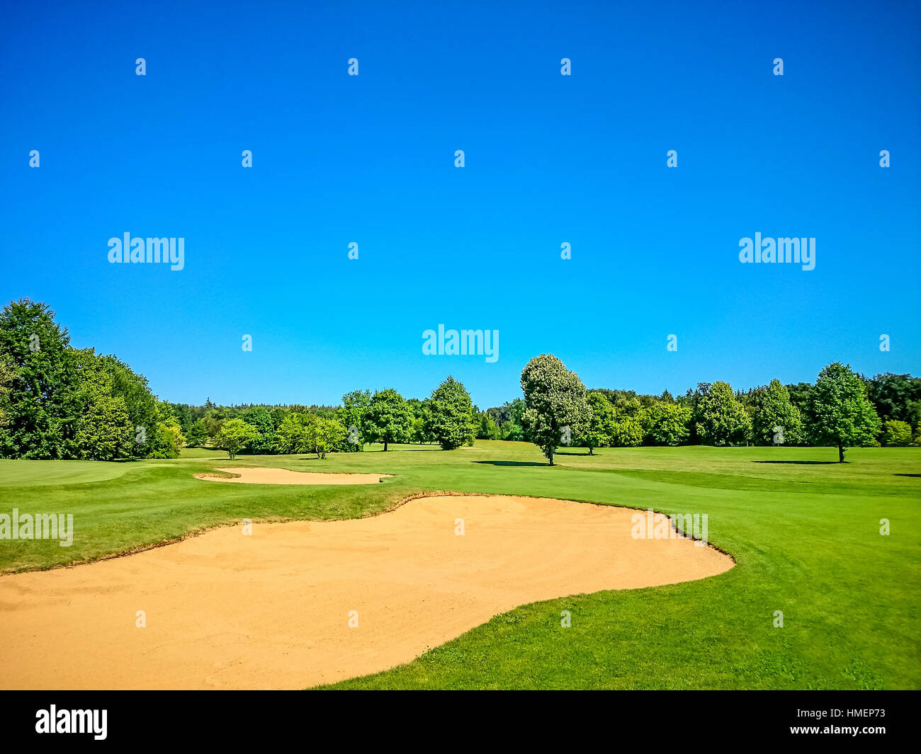 Campo da golf, naturale verde prato con alberi e cielo blu Foto Stock