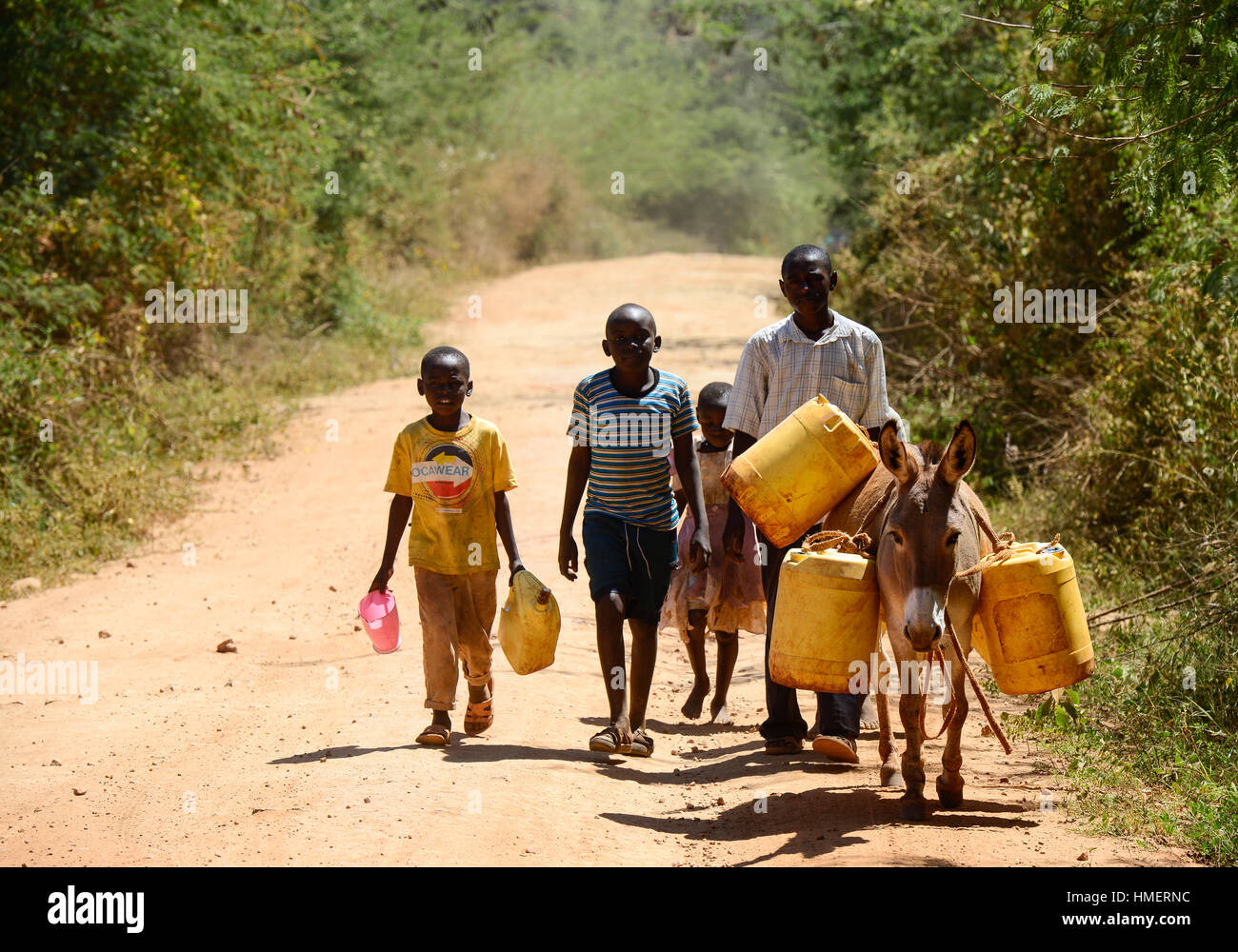 In Kenia, Monte Kenya East , estrema siccità a causa della mancanza di pioggia ha causato enormi problemi idrici, abitante il trasporto di acqua con gli asini su lunghe distanze Foto Stock