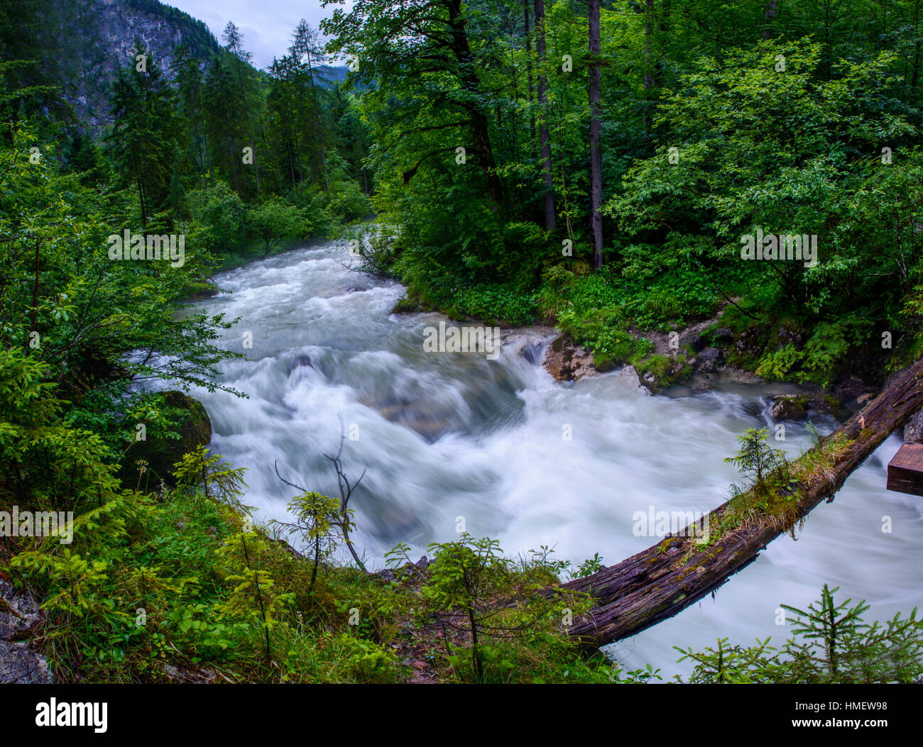 Fiume turbolento attraverso i boschi Foto Stock