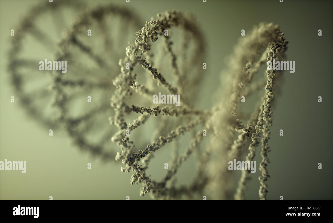 Acido desossiribonucleico (DNA), la molecola che porta le istruzioni di genetica dello sviluppo, il funzionamento e la riproduzione di tutti gli organismi viventi di un Foto Stock