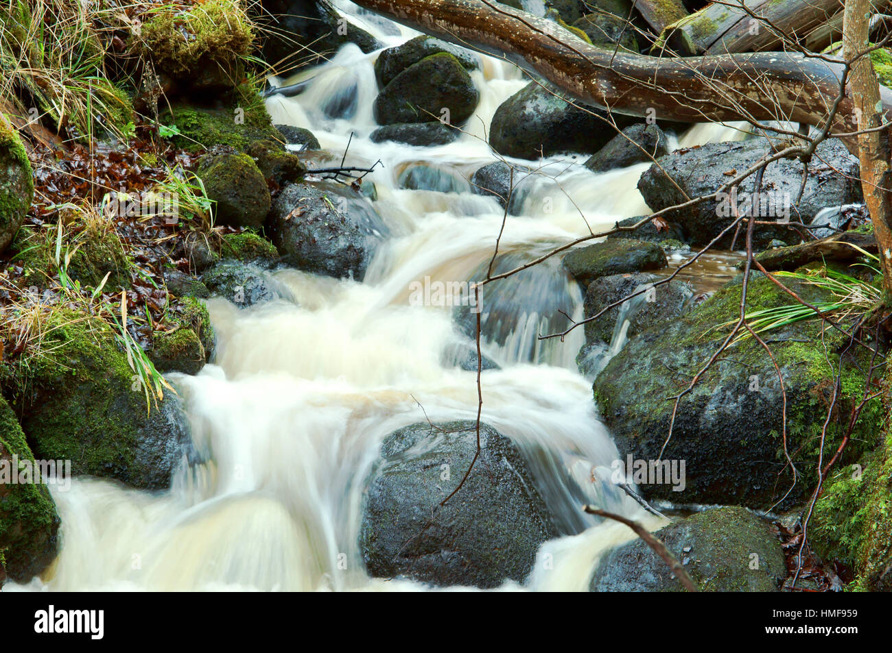 Il fiume selvaggio verde muschio sulle rocce Foto Stock