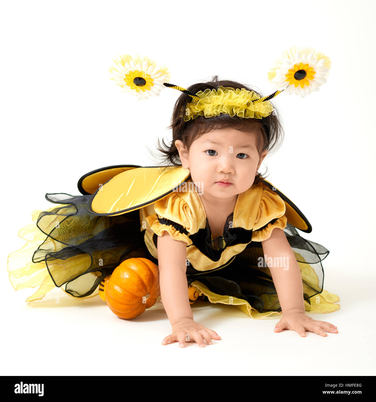Vestito d'ape Immagini senza sfondo e Foto Stock ritagliate - Alamy