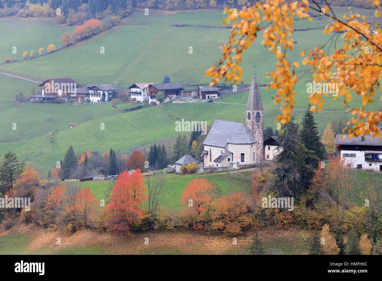 Le foglie di giallo di un telaio di legno di larice la chiesa Alpina in autunno, Maddalena, Val di Funes, Alto Adige, Dolomiti, Italia Foto Stock