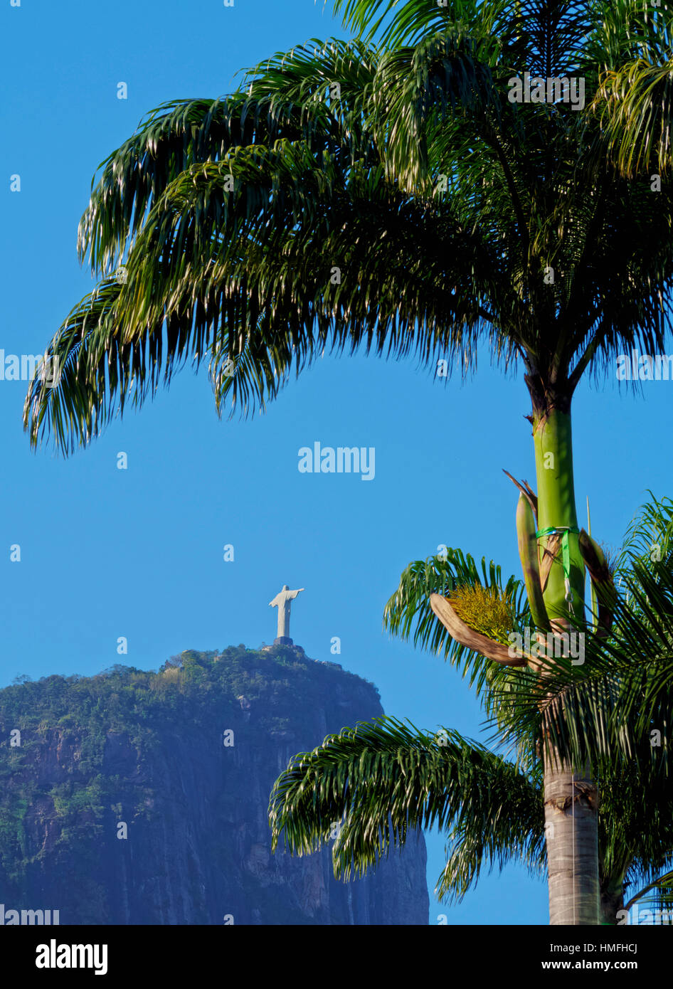 Corcovado e la statua di Cristo visto attraverso gli alberi di palme del giardino botanico, Zona Sul, Rio de Janeiro, Brasile Foto Stock