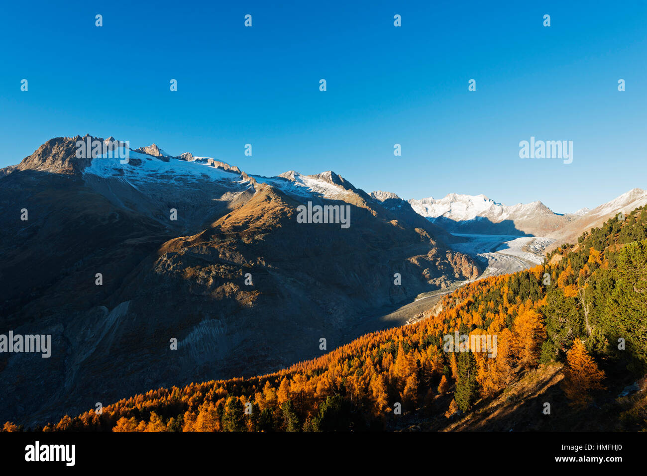 Ghiacciaio di Aletsch, Jungfrau-Aletsch, Vallese, alpi svizzere, Svizzera Foto Stock