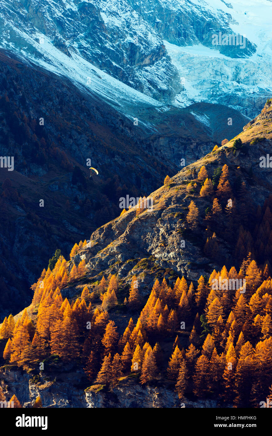 Un parapendio volare in autunno, Zermatt, Vallese, alpi svizzere, Svizzera Foto Stock