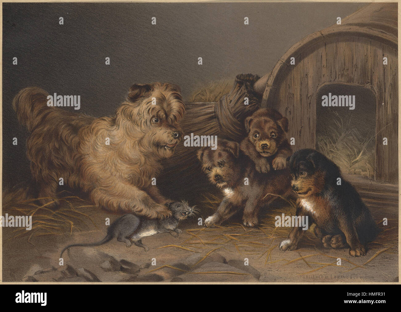 Louis Prang - Scotch Terrier e cuccioli Foto Stock