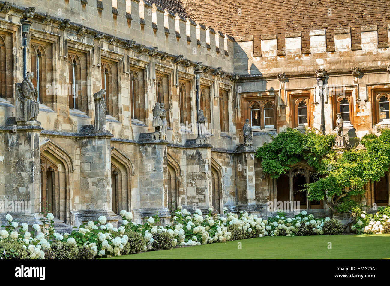 Il Magdalen College di Oxford Regno Unito Foto Stock