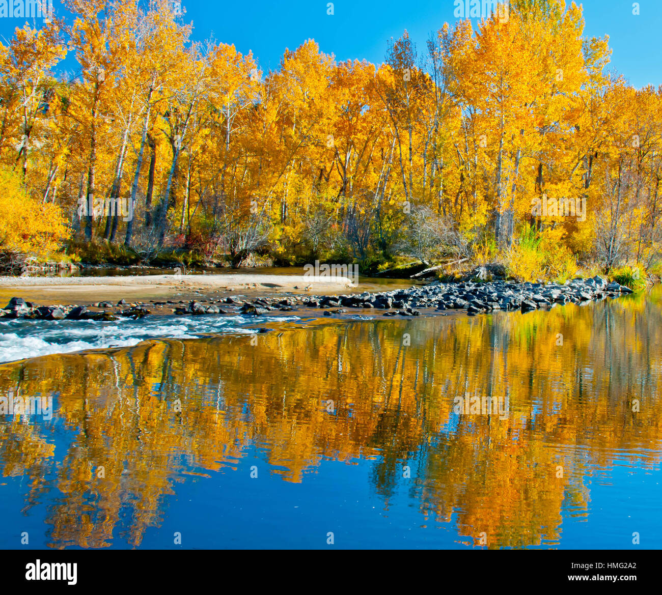 Riflessioni del Fiume Boise in Autunno colori lungo il Boise Greenbelt Boise, Idaho, Stati Uniti d'America Foto Stock