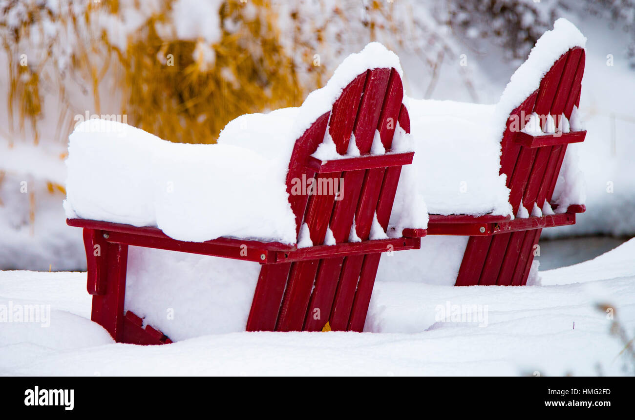 Inverno, Sedie Adirondack coperta di neve fresca caduta. Logger Creek, Boise, Idaho, Stati Uniti d'America Foto Stock