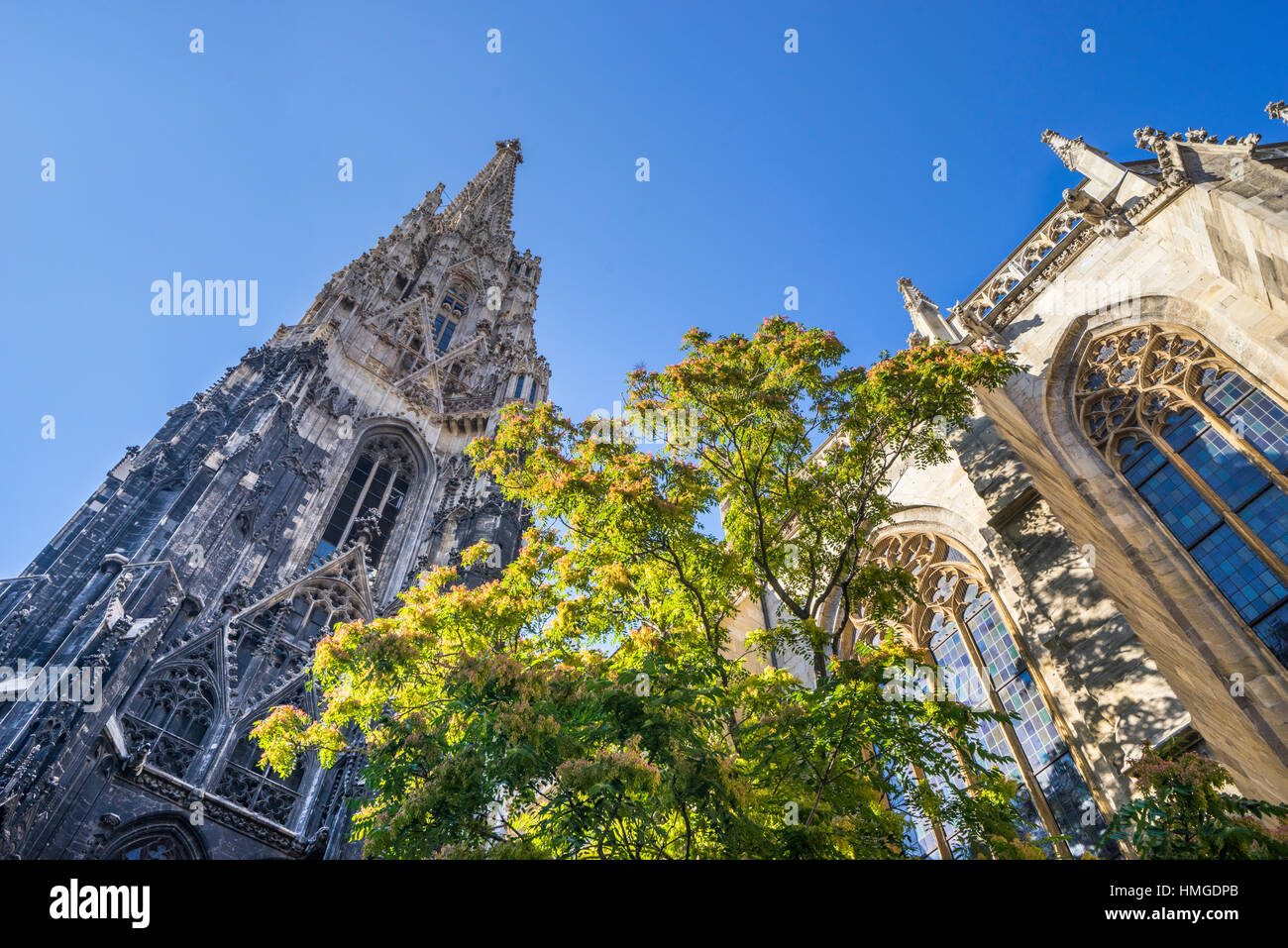Austria, Vienna, la cattedrale di Santo Stefano, vista dei 136 metri a sud la torre della cattedrale Foto Stock Austria, Vienna, la cattedrale di Santo Stefano, vista dei 136 metri a sud la torre della cattedrale Foto Stock