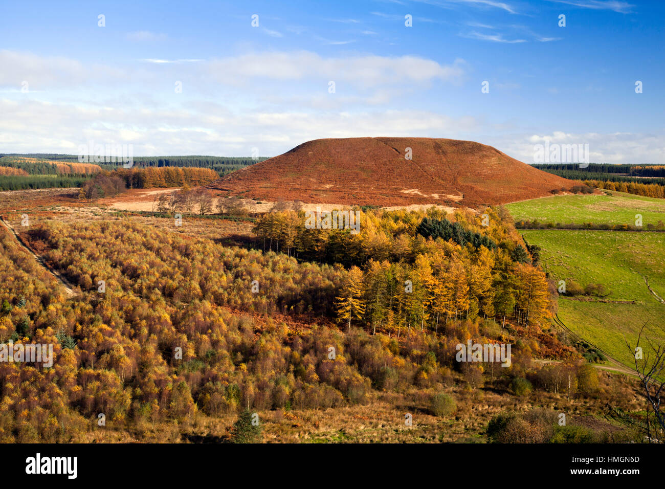 Blakey topping in autunno North York Moors National Park North Yorkshire, Inghilterra Foto Stock