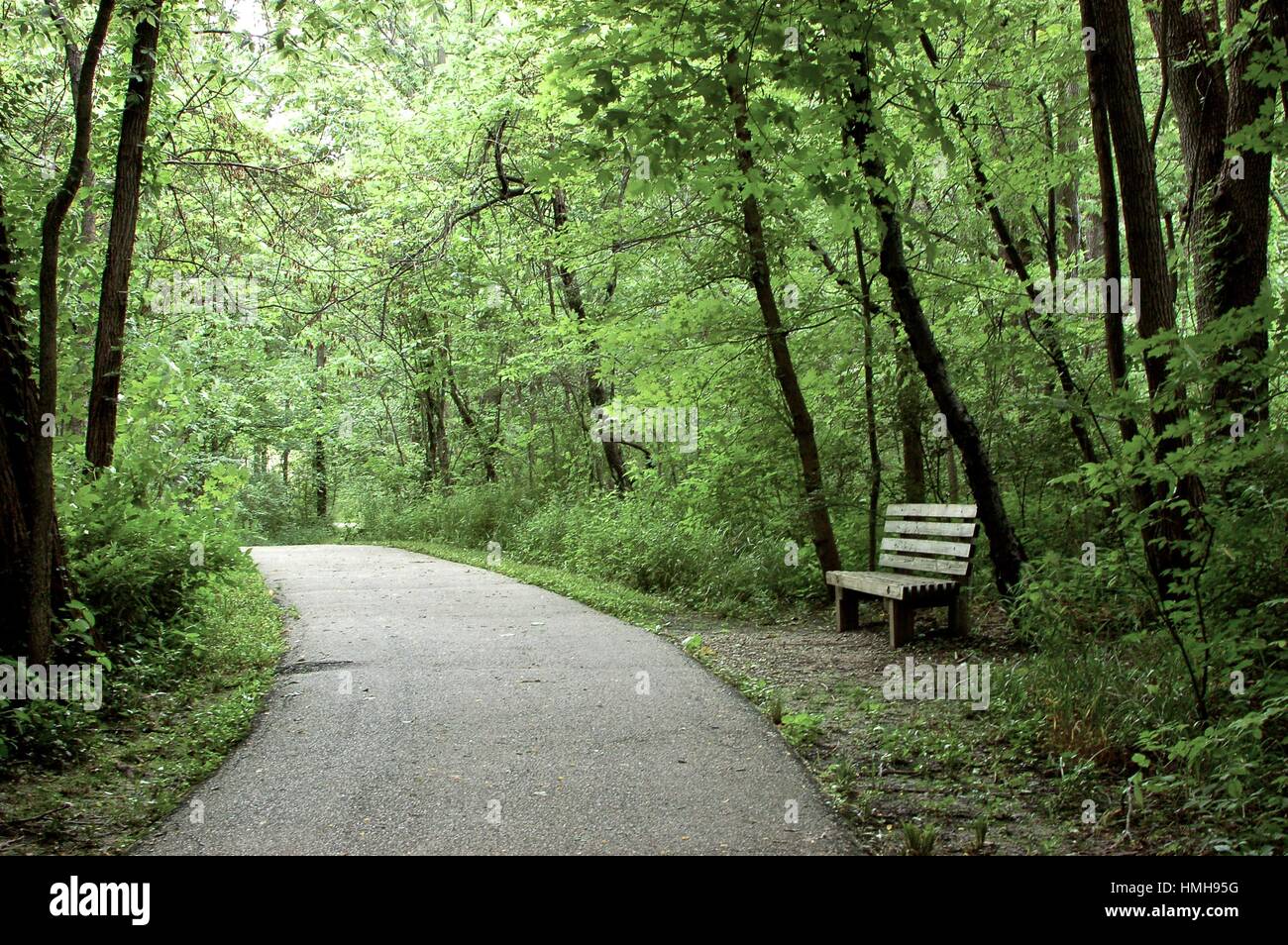 Un banco di lavoro su un sentiero Foto Stock