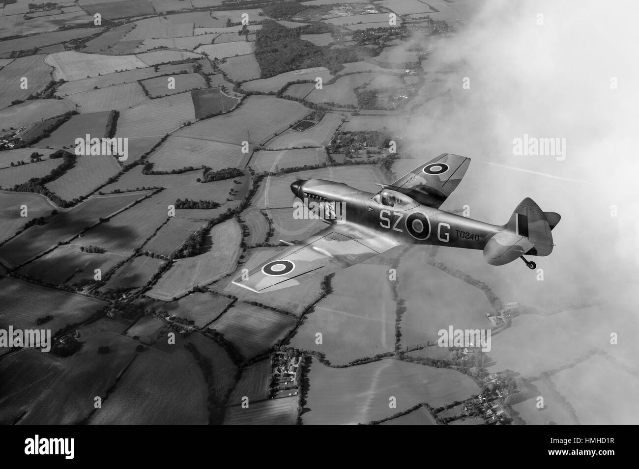 Una raffigurazione con schienale basso, ritagliato-wing Supermarine Spitfire XVI TD240 SZ-G. (Versione in bianco e nero). Foto Stock