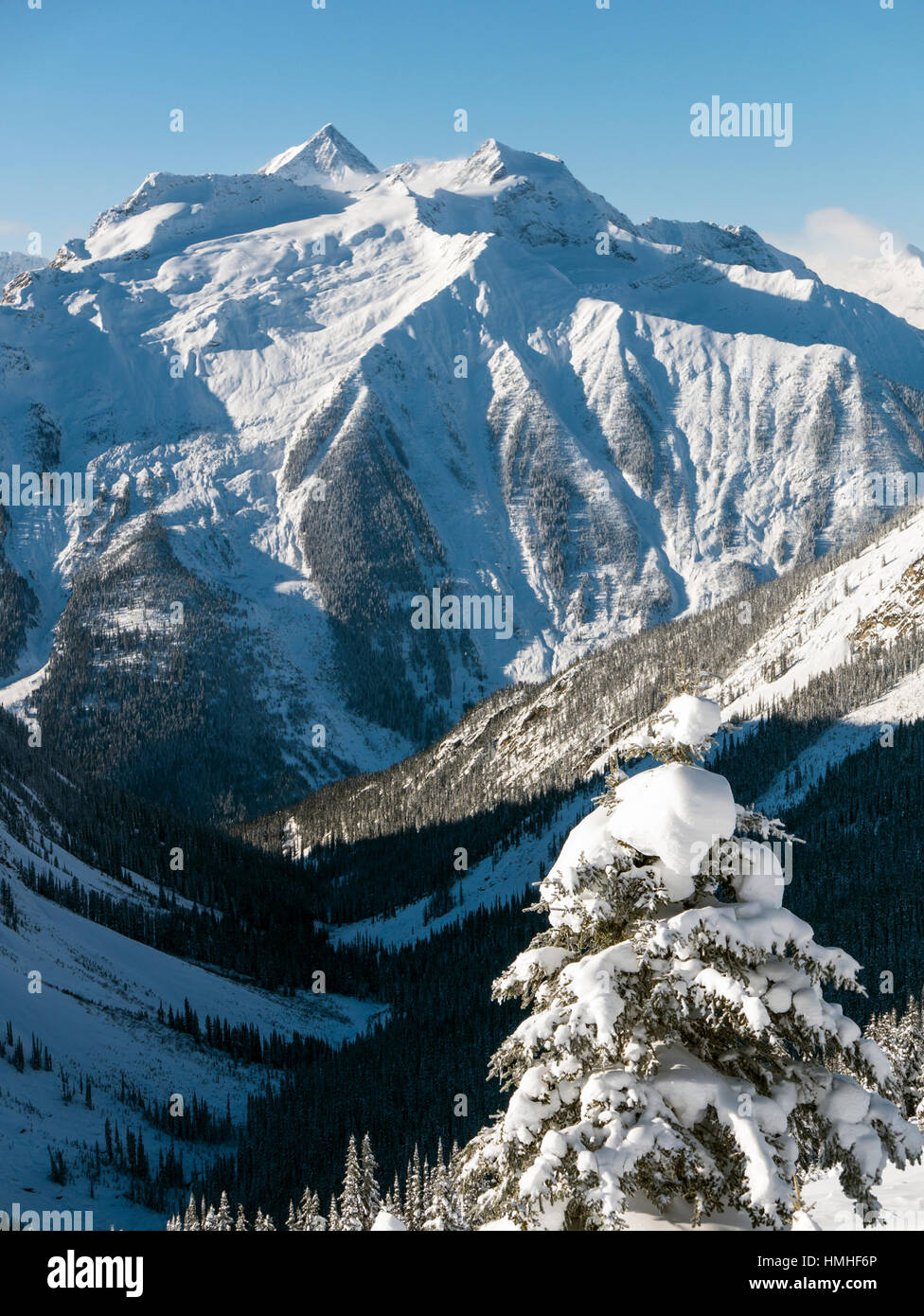 Paesaggio Innevato; Esplanade gamma; Selkirk gamma; British Columbia; Canada Foto Stock