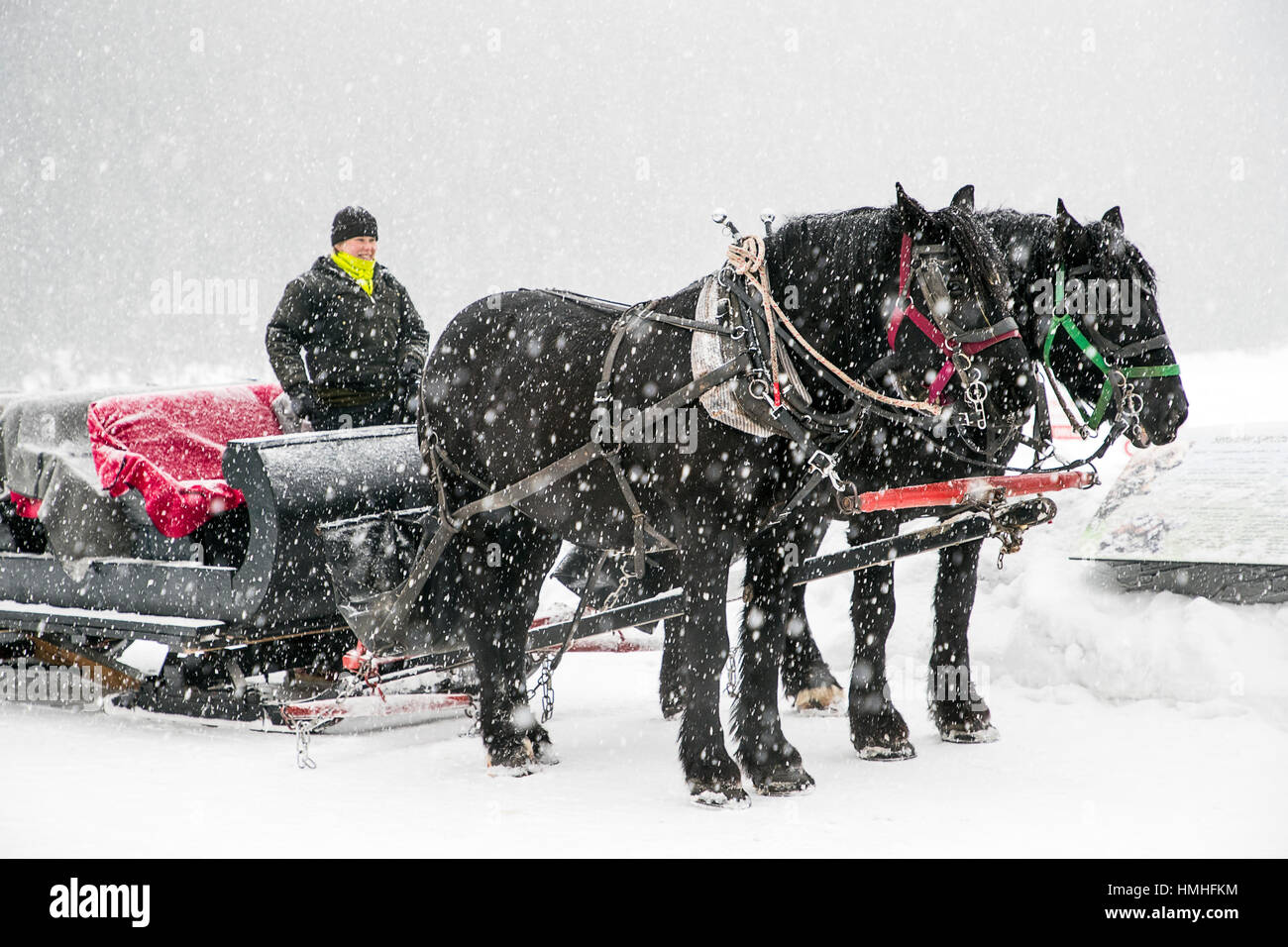 I turisti in slitta trainata da cavalli ride; Il Fairmont Lake Louise; il lago Louise; il Parco Nazionale di Banff; British Columbia; Canada Foto Stock