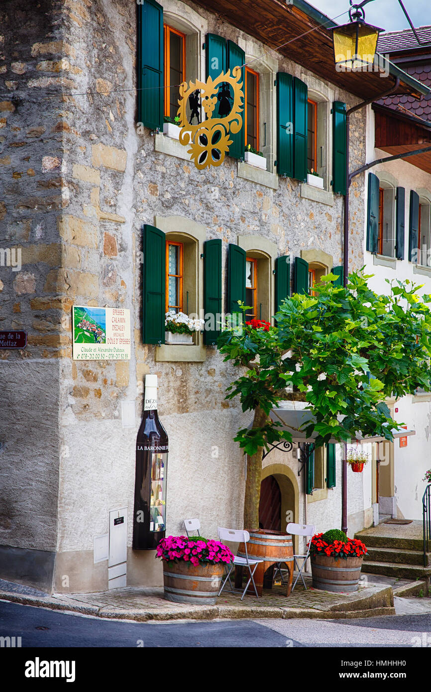 Classico edificio cantina esterno nel vigneto di Lavaux, Epesses, Canton Vaud, Svizzera Foto Stock