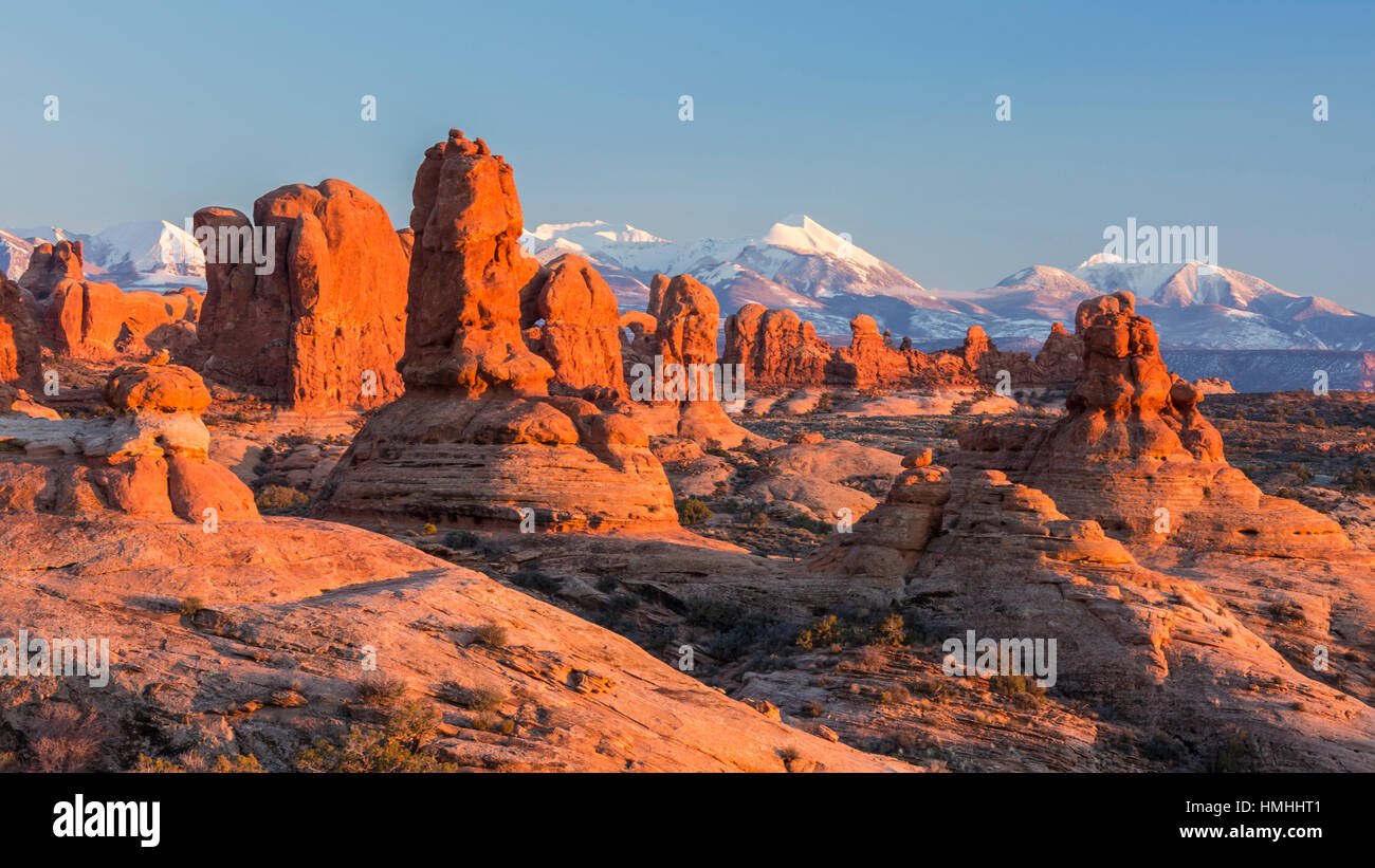 Caldo tardo pomeriggio di sole luci di posizione le formazioni rocciose nel giardino di Eden, con la sezione di Windows dietro nel Parco Nazionale di Arches, Utah Foto Stock