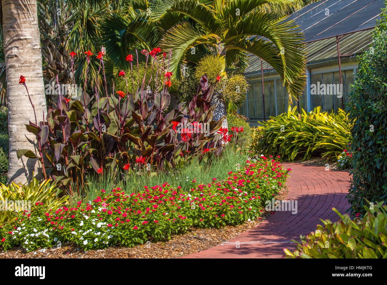 Giardini Botanici Marie Selby in Sarasota Florida Foto Stock