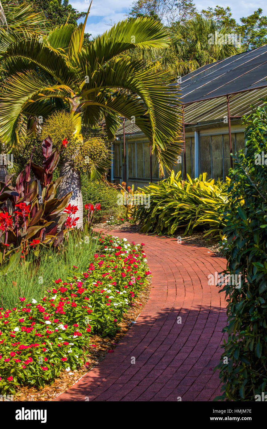 Giardini Botanici Marie Selby in Sarasota Florida Foto Stock