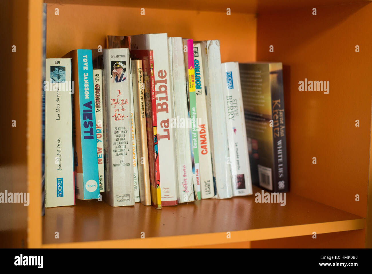 libri sulla mensola Foto Stock