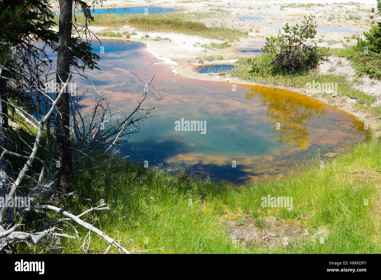 West Thumb Geyser Basin e Lago Yellowstone, il Parco Nazionale di Yellowstone, Wyoming USA Foto Stock