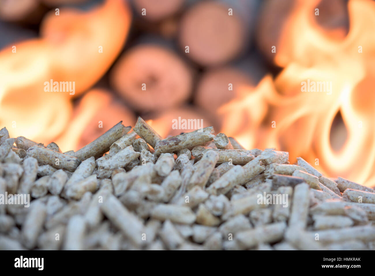 Biomassa di legno in fiamme di fronte alla parete di legno Foto Stock