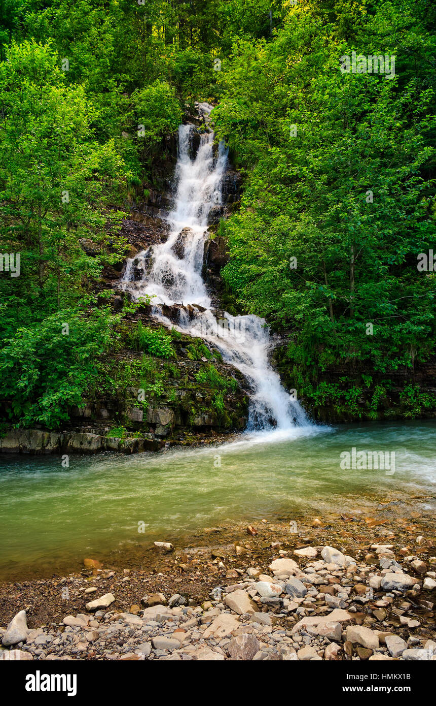 Bella cascata deriva da una collina nella foresta e cadere nel fiume di ...