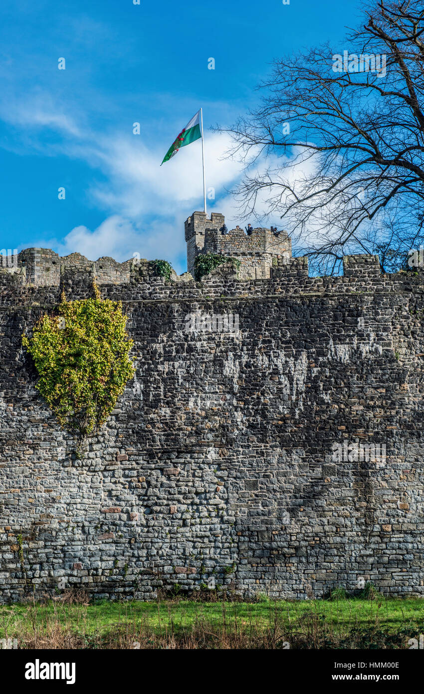 Il Castello di Cardiff mantenere visto da Bute Park Cardiff Foto Stock