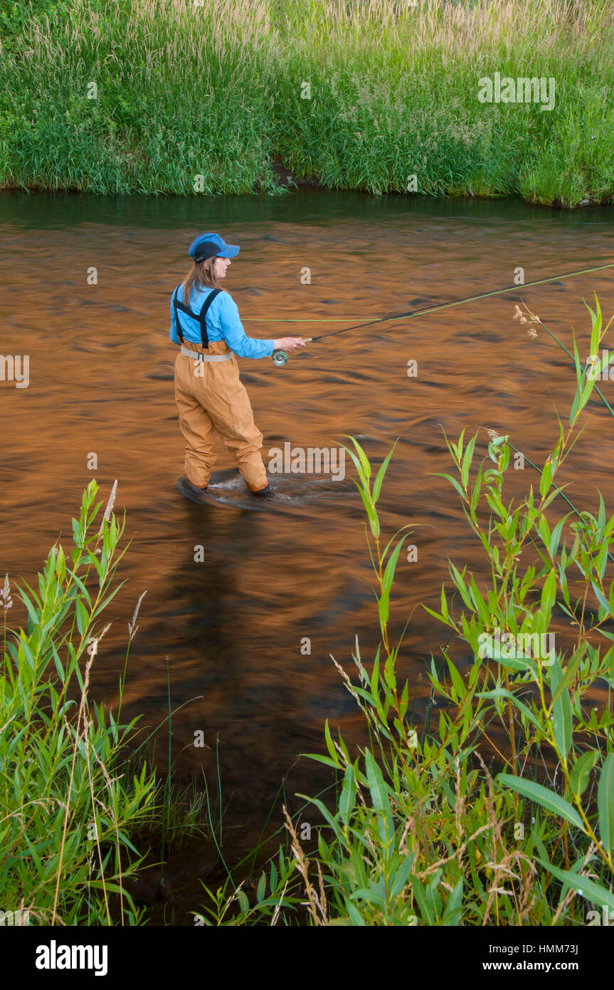 Pesca a mosca, Donner und Blitzen selvatica e Scenic River, Steens Mountain Recreation Area, Oregon Foto Stock