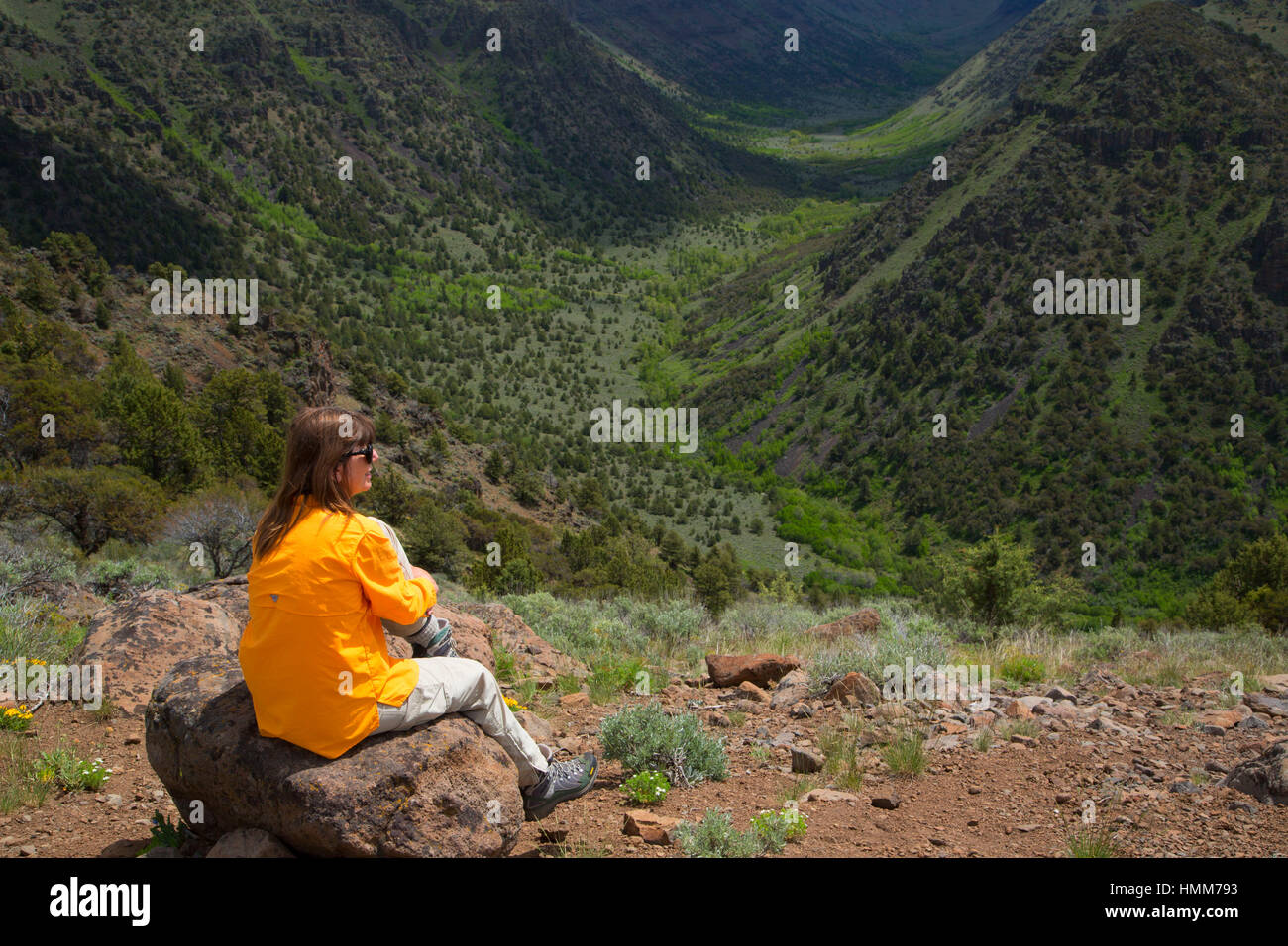 Grande Gola indiano, Steens Mountain gestione di cooperative e di area di protezione, Steens Mountain Backcountry Byway, Oregon Foto Stock