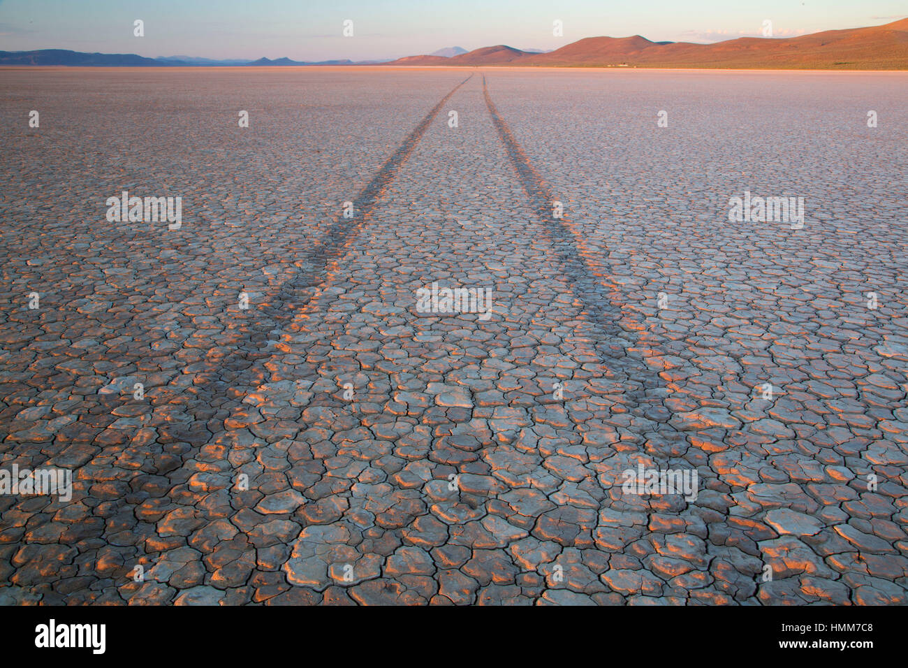 Veicolo le vie attraverso mudcracks, Alvord Deserto Deserto area studio, Est Steens giro percorso, Ustioni District Bureau of Land Management, Oregon Foto Stock