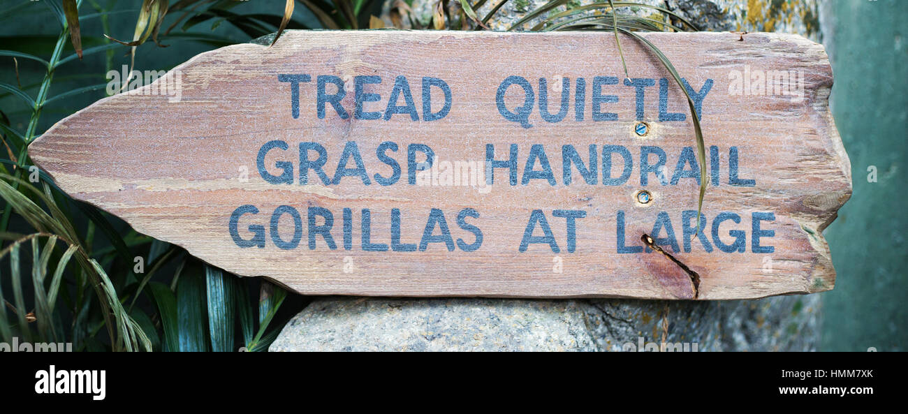 Cartello che porta alla piattaforma di osservazione della mostra Western Lowland Gorilla nello zoo di Calgary Foto Stock
