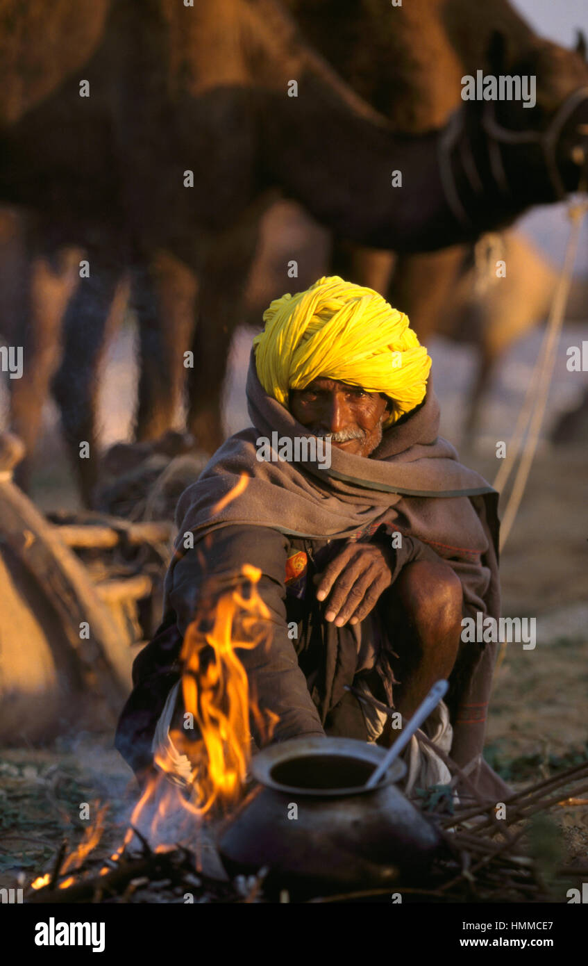 Commerciante di cammello all'alba, Pushkar fair in India Foto Stock