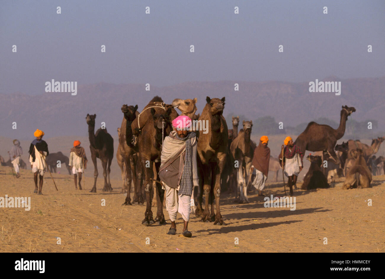 I commercianti del cammello presso la fiera di Pushkar in India Foto Stock