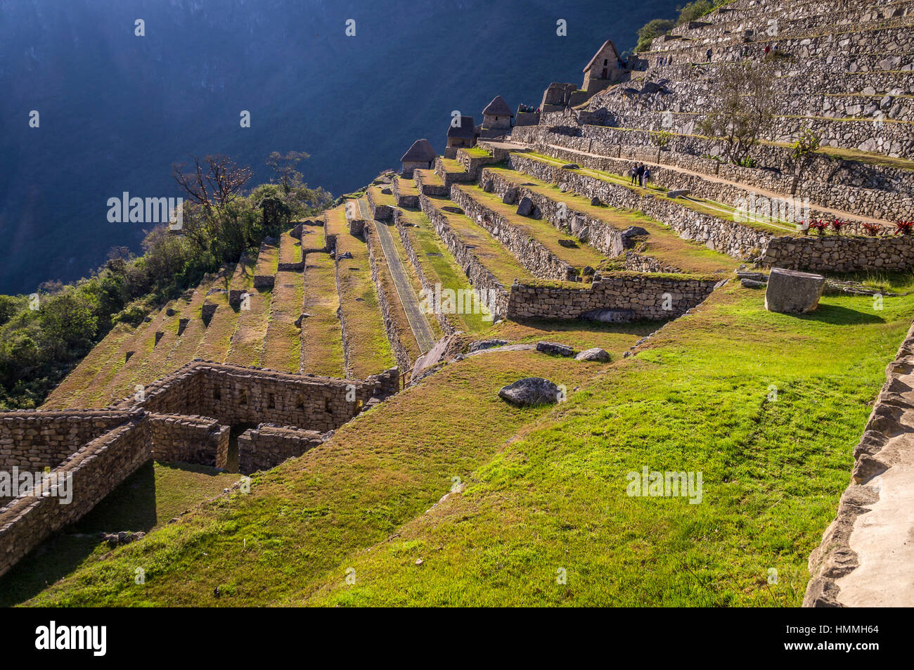 Scale a Machu Picchu città Inca, Perù Foto Stock