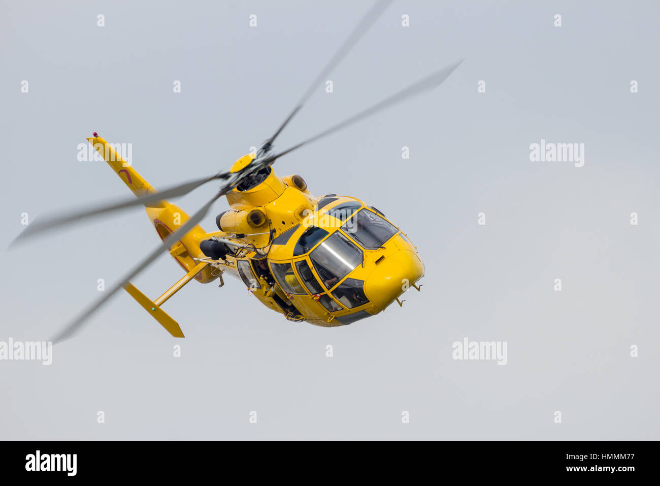 ROTTERDAM, Paesi Bassi - 3 sett 2016: Eurocopter AS365 N3 Daupin II Salvataggio in elicottero da OPN-Noordzee Helikopters. Foto Stock