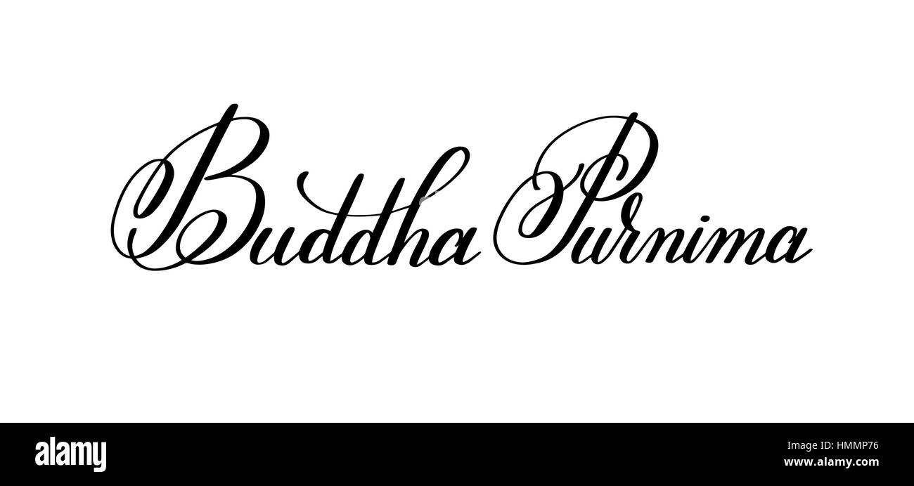 Il Buddha Purnima scritto a mano scritte iscrizione alla indian vacanze di primavera festeggia il 10 maggio, calligrafia illustrazione vettoriale isolato su bianco backgro Illustrazione Vettoriale