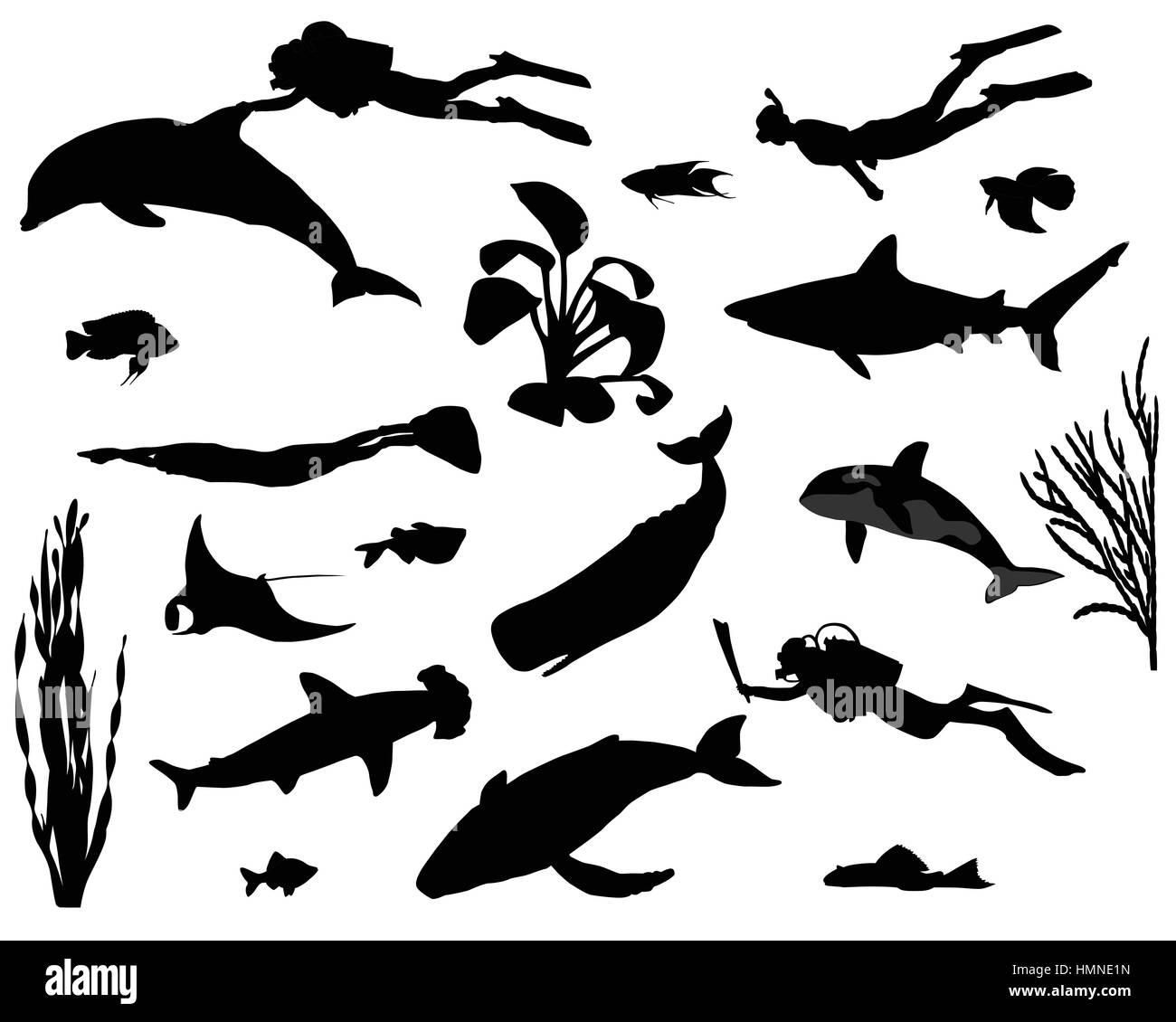 Sagome di subacquei sotto acqua tra i diversi tipi di pesce Illustrazione Vettoriale