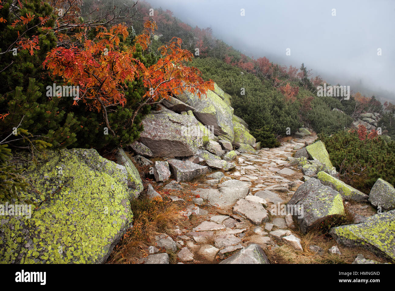 Sentiero di pietra, il sentiero lungo il pendio in autunno monti Karkonosze National Park (parco Karkonoski Narodowy) Sudetes, Polonia, Europa Foto Stock