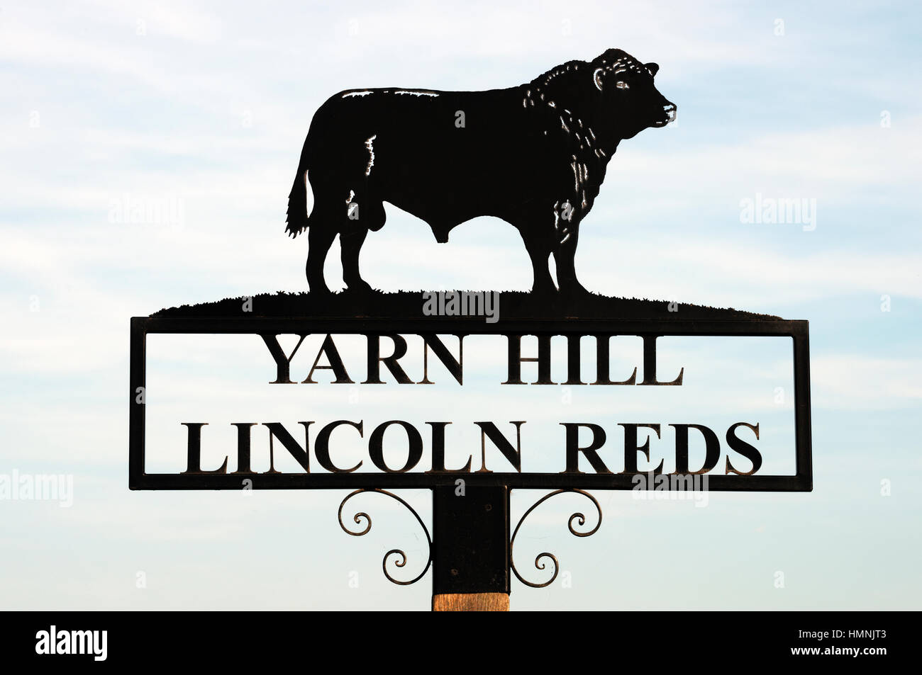 La collina di filato Lincoln rossi segno del bestiame Foto Stock
