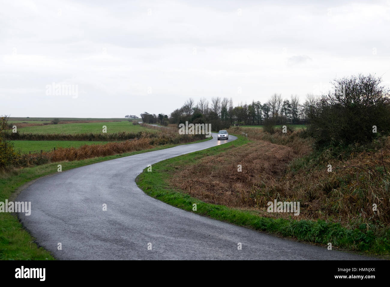 Strada rurale, strada di ciottoli, Suffolk, Regno Unito. Foto Stock