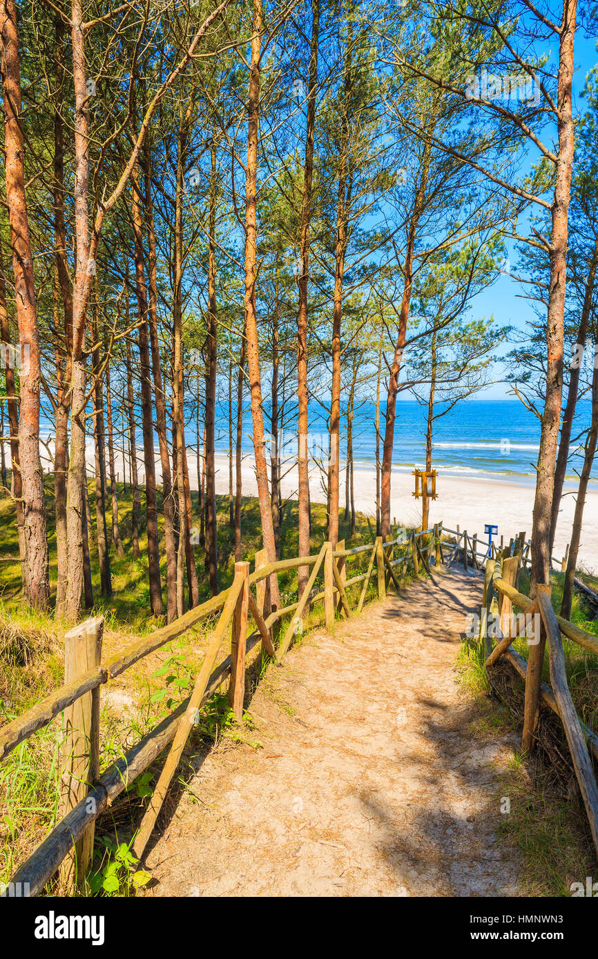 Percorso nella foresta alla bella spiaggia di Lubiatowo villaggio costiero, Mar Baltico, Polonia Foto Stock