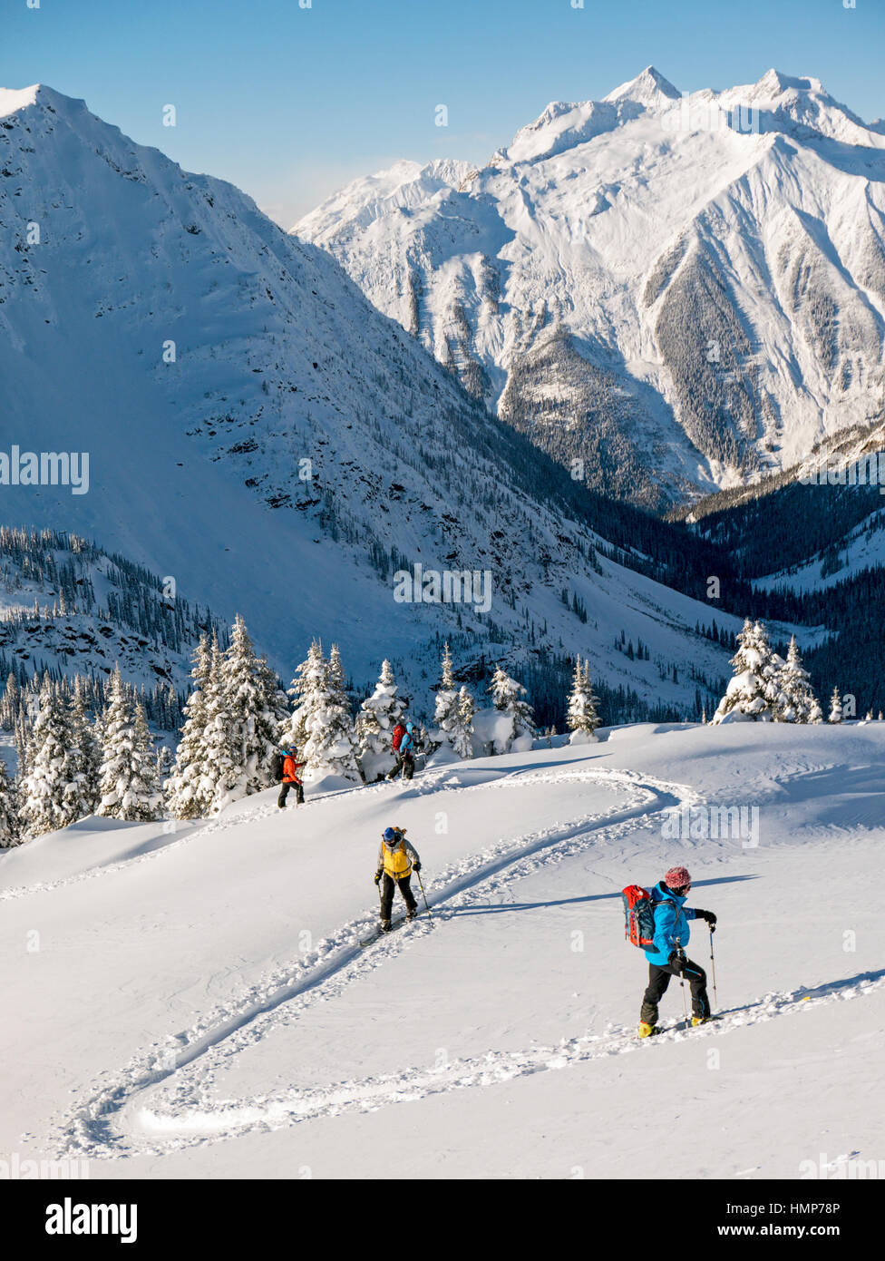 Paese indietro gli sciatori utilizzano pelli sintetiche a salire; Esplanade gamma; Selkirk le montagne vicino al telecomando Sentry Lodge; British Columbia; Canada Foto Stock